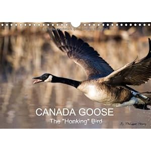 Canada Goose Couleur
